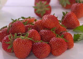 Erdbeeren, poln. Senga 4 x 2,​5 kg