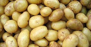 Kartoffeln normale Sortierung 5 kg 