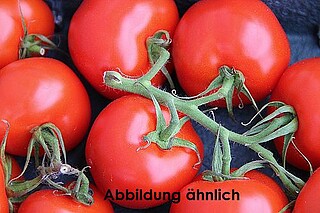 Strauch-​Tomaten 
