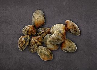 Vongole 500/​800er Venusmuscheln