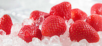 Erdbeeren, Senga Sengana 